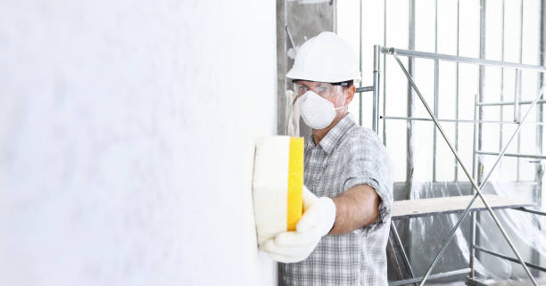 Professional Mold Inspection in Cottonwood Shores, TX