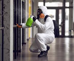 Best Black Mold Removal  in Cottonwood Shores, TX